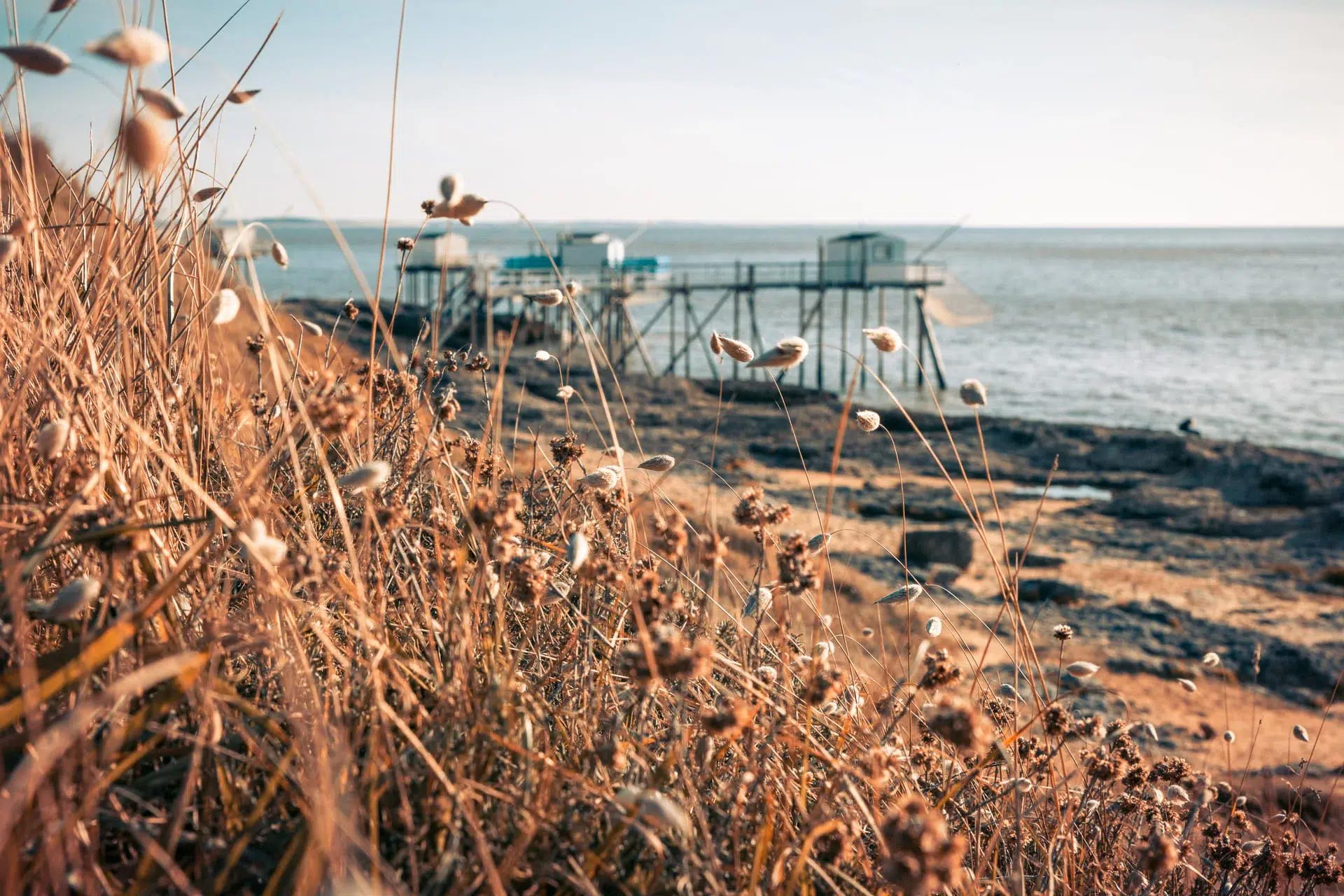 hotel au bord de l eau a royan