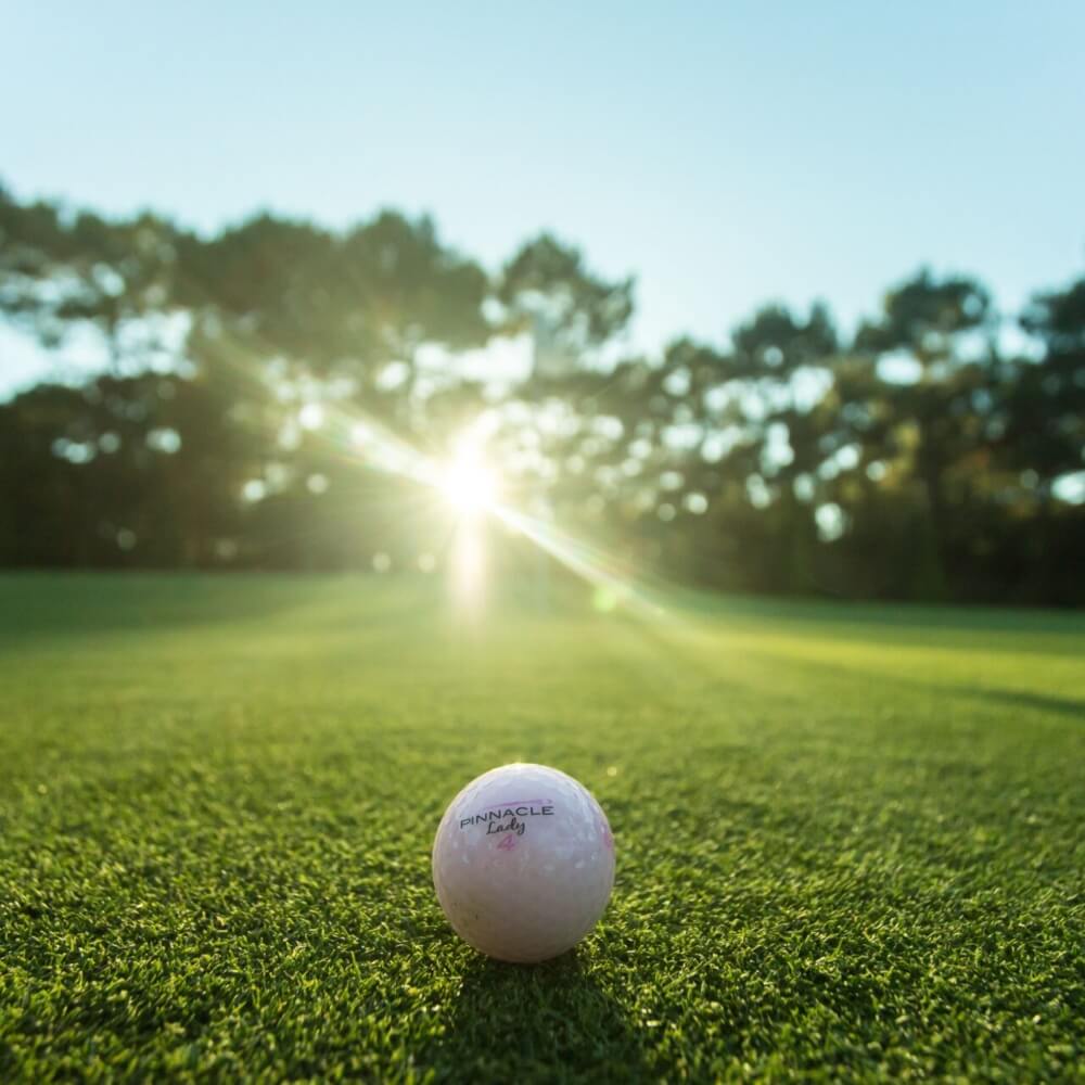 Golf de royan - A 5 minute de l'hotel